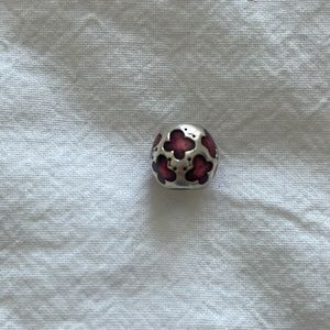058. Pandora bracelet charm
